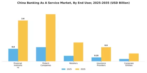 China Banking as a Service Market Segment Image 2