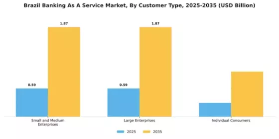 Brazil Banking as a Service Market Segment Image 1