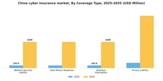 China Cyber Insurance Market Segment Image 1