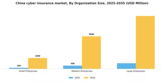 China Cyber Insurance Market Segment Image 3
