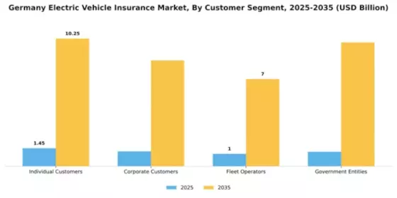 Germany Electric Vehicle Insurance Market Segment Image 1