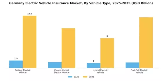 Germany Electric Vehicle Insurance Market Segment Image 4