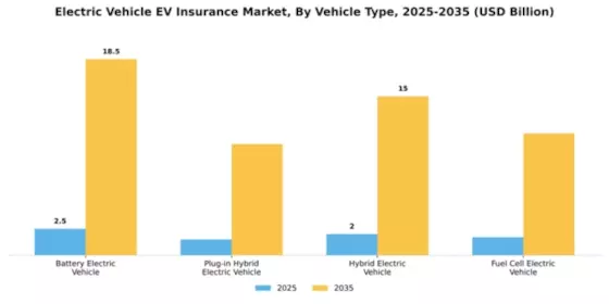 South America Electric Vehicle Insurance Market Segment Image 4