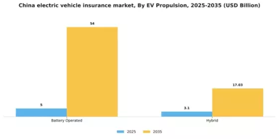 China Electric Vehicle (EV) Insurance Market Segment Image 2