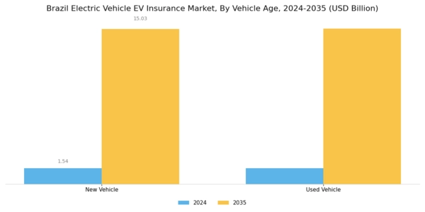 Brazil Electric Vehicle (EV) Insurance Market Segment Image 2