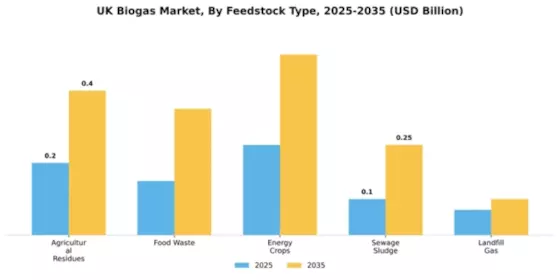 UK Biogas Market Segment Image 1