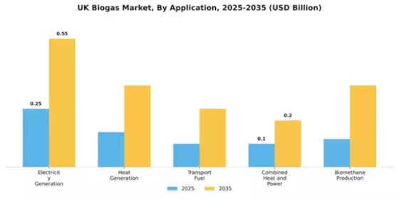 UK Biogas Market Segment Image 0
