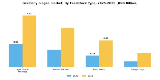 Germany Biogas Market Segment Image 2