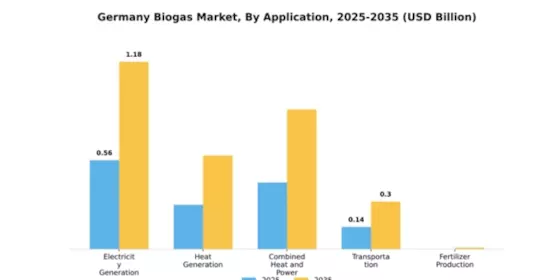 Germany Biogas Market Segment Image 0
