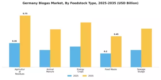 Germany Biogas Market Segment Image 1
