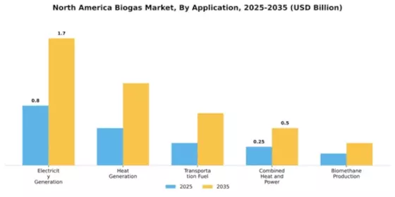 North America Biogas Market Segment Image 0