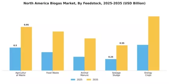 North America Biogas Market Segment Image 1