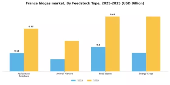 France Biogas Market Segment Image 2