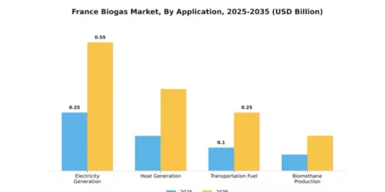 France Biogas Market Segment Image 0