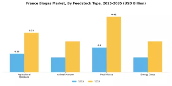 France Biogas Market Segment Image 1
