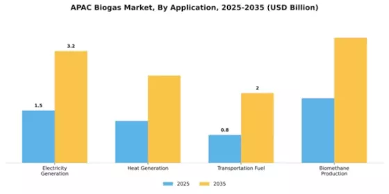 APAC Biogas Market Segment Image 0