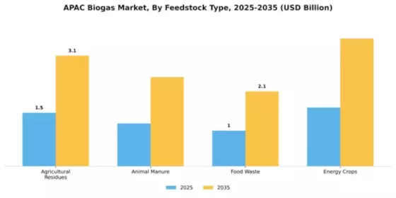 APAC Biogas Market Segment Image 2