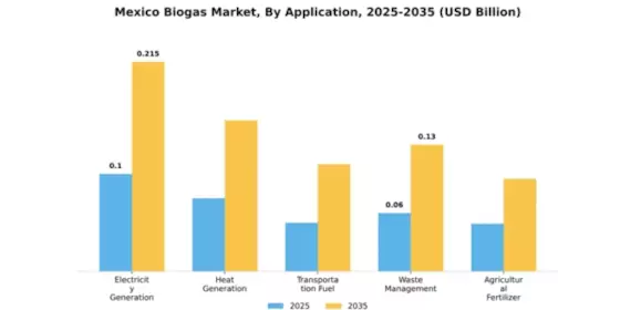Mexico Biogas Market Segment Image 0
