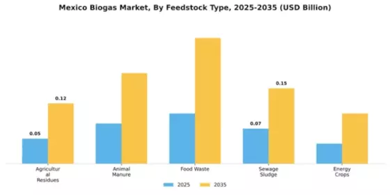 Mexico Biogas Market Segment Image 2