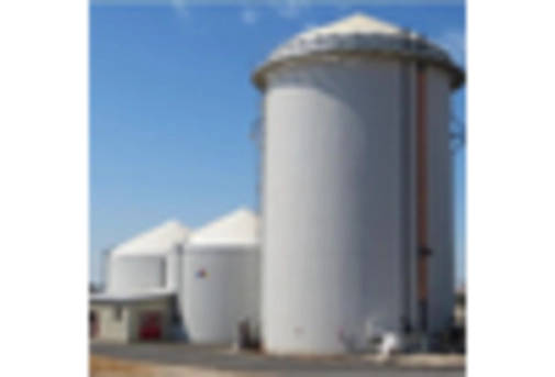 Mexico Biogas Market key player