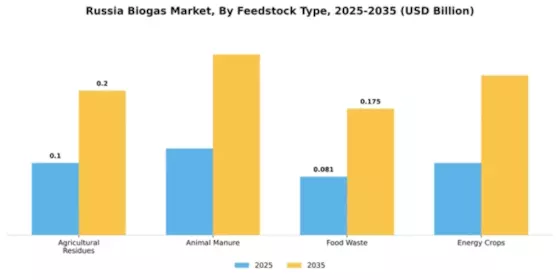 Russia Biogas Market Segment Image 2