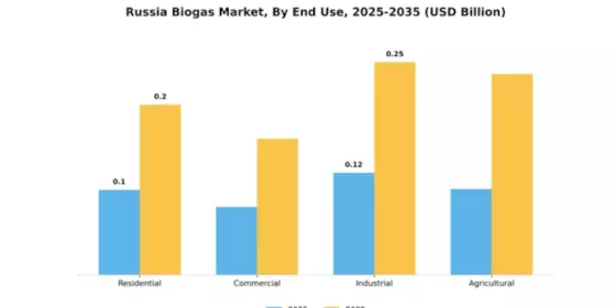 Russia Biogas Market Segment Image 1