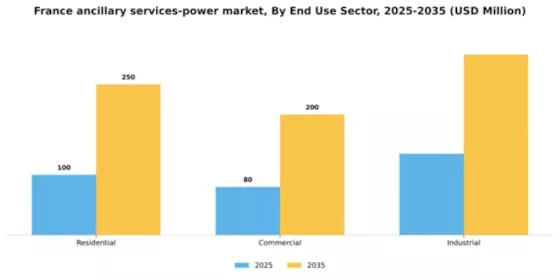 France Ancillary Services Power Market Segment Image 0