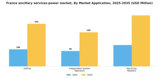France Ancillary Services Power Market Segment Image 1