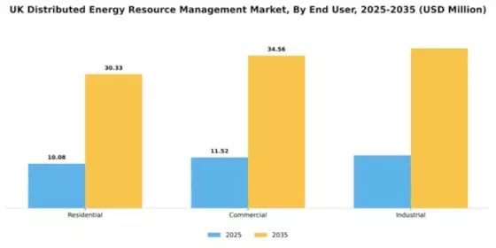 UK Distributed Energy Resource Management Market Segment Image 2