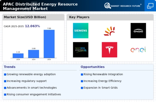 APAC Distributed Energy Resource Management Market Infographic