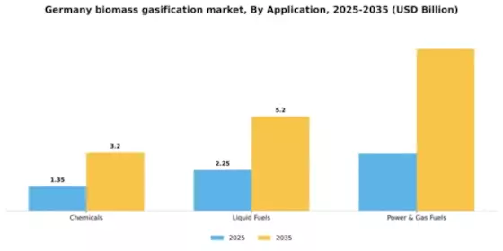 Germany Biomass Gasification Market Segment Image 0
