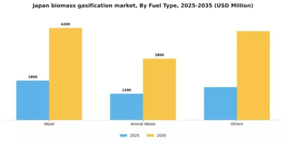 Japan Biomass Gasification Market Segment Image 1