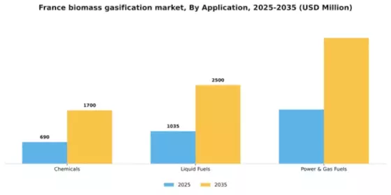 France Biomass Gasification Market Segment Image 0
