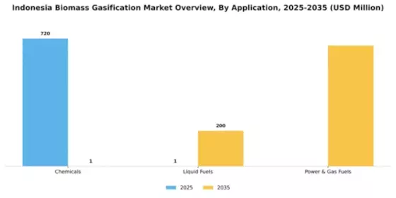 Indonesia Biomass Gasification Market Segment Image 0