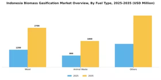 Indonesia Biomass Gasification Market Segment Image 1