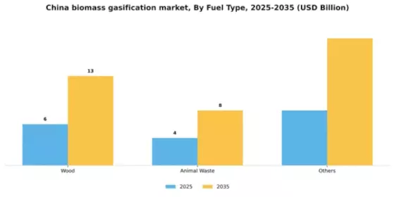 China Biomass Gasification Market Segment Image 1