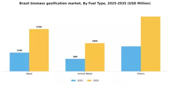 Brazil Biomass Gasification Market Segment Image 1