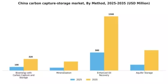 China Carbon Capture and Storage Market Segment Image 2