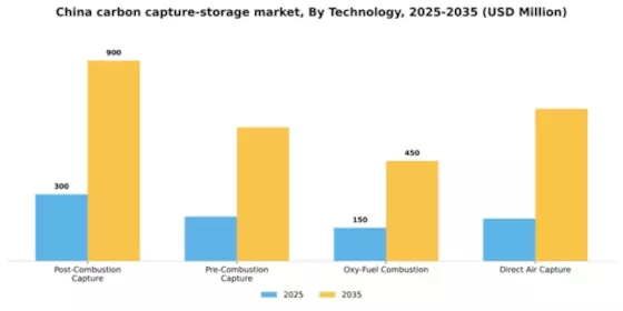 China Carbon Capture and Storage Market Segment Image 3