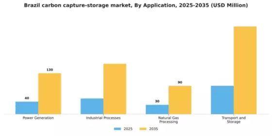 Brazil Carbon Capture and Storage Market Segment Image 0