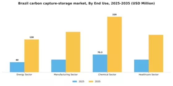 Brazil Carbon Capture and Storage Market Segment Image 1