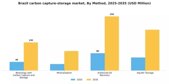 Brazil Carbon Capture and Storage Market Segment Image 2