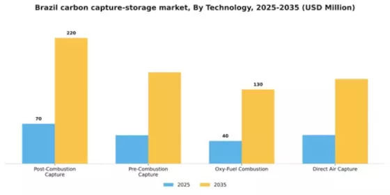 Brazil Carbon Capture and Storage Market Segment Image 3