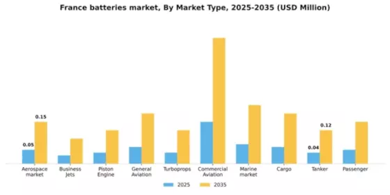 France Batteries Market Segment Image 2