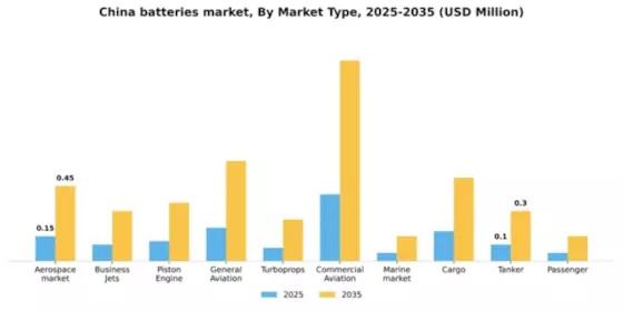 China Batteries Market Segment Image 2