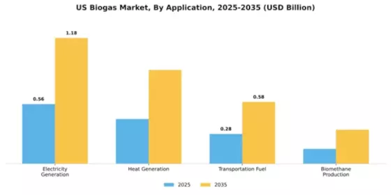 US Biogas Market Segment Image 0
