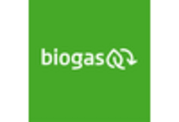 US Biogas Market key player