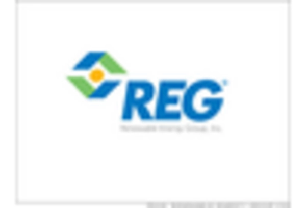 US Biogas Market key player