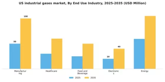 US Industrial Gases Market Segment Image 1