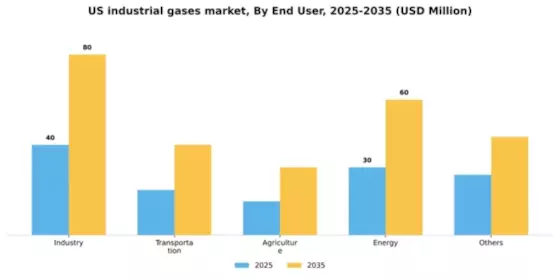 US Industrial Gases Market Segment Image 0